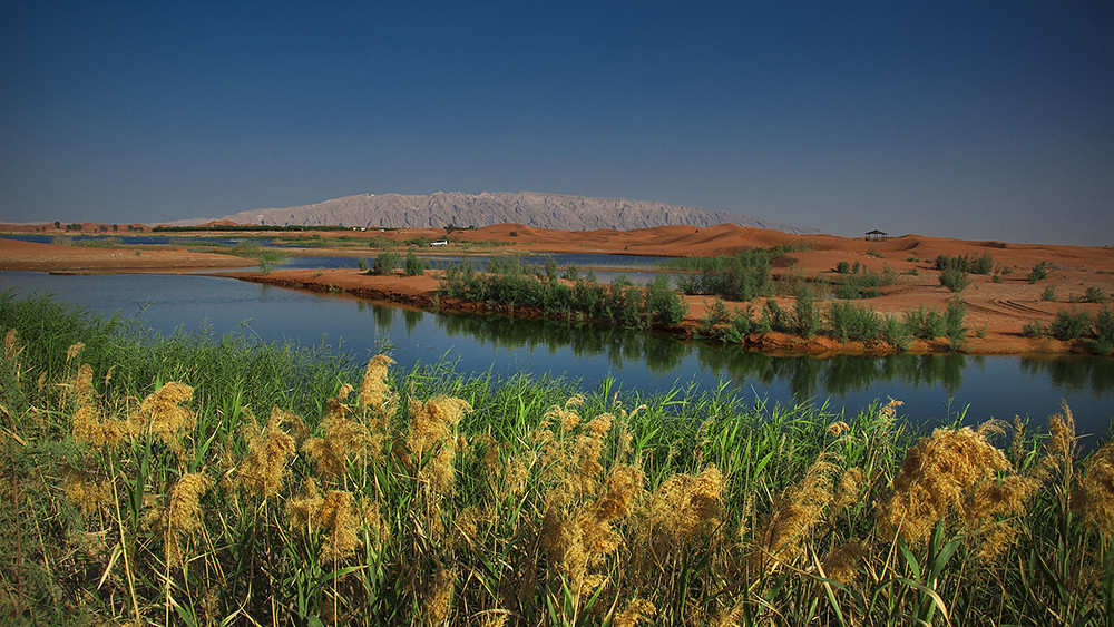 Zakher, Al Ain
