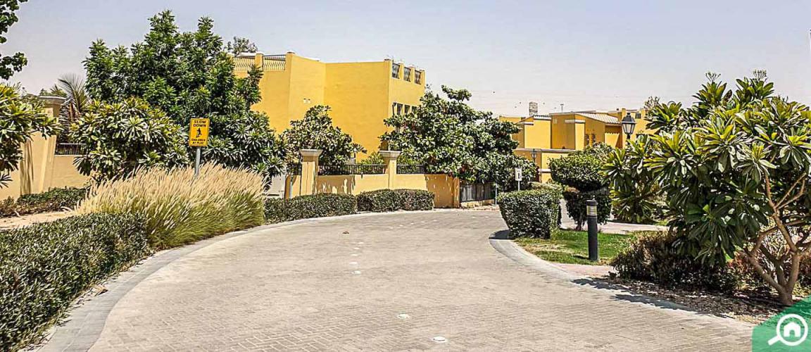 Dubailand Oasis