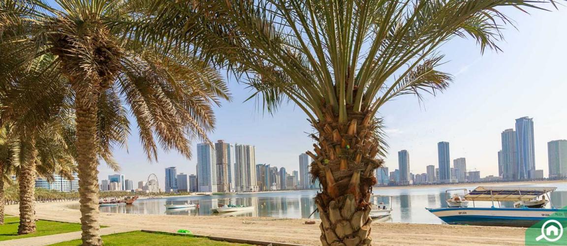 Al Talae, Sharjah