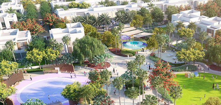 Orchid Plot at  Al Zahia